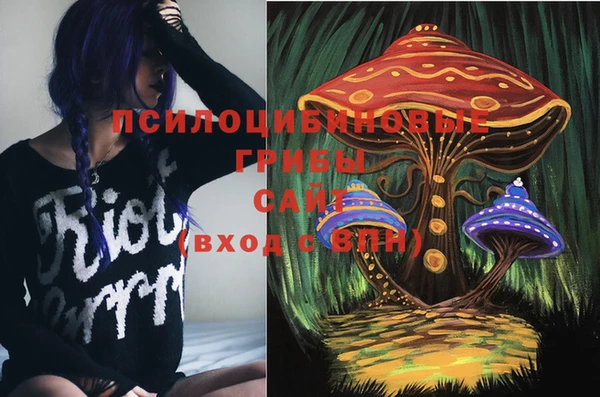 гашик Абдулино