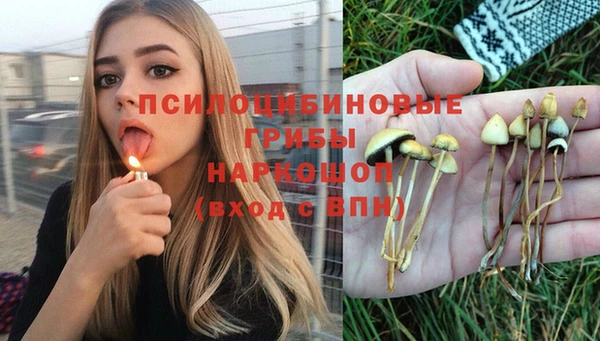 гашик Абдулино