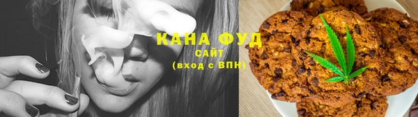 хмурый Абаза
