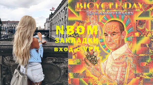 хмурый Абаза