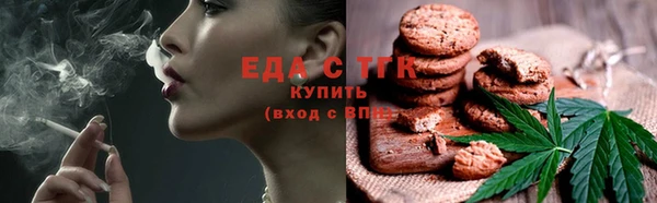 хмурый Абаза