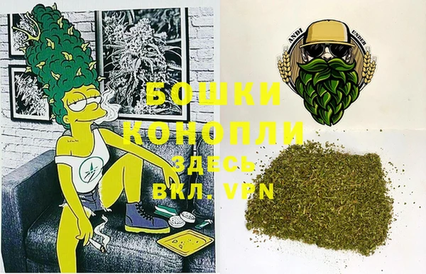 хмурый Абаза