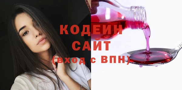 хмурый Абаза