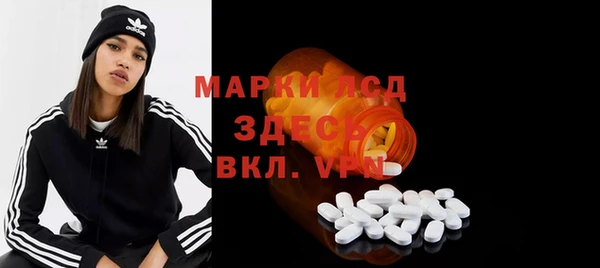 хмурый Абаза