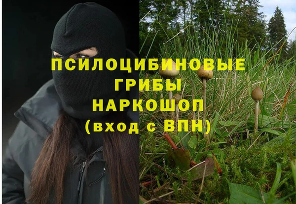 хмурый Абаза