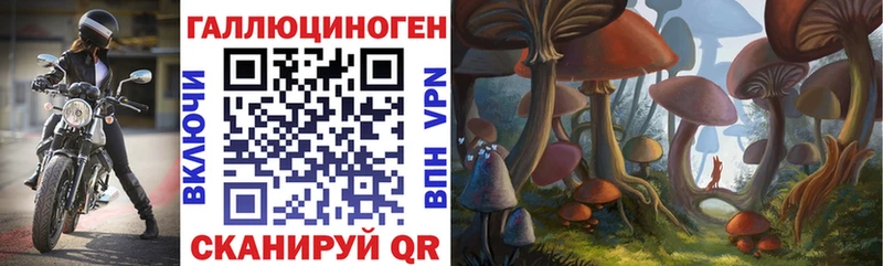 Псилоцибиновые грибы прущие грибы  где купить наркоту  Почеп 